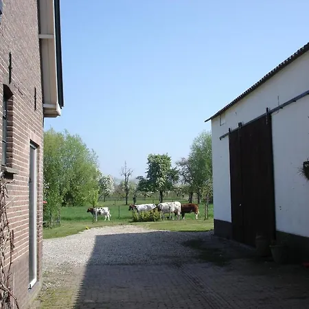 D'essebroeck Ingen