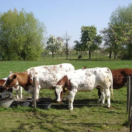 D'essebroeck Bed & Breakfast