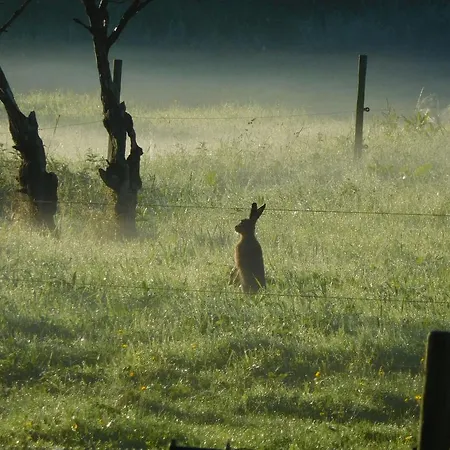 Alojamento de Acomodação e Pequeno-almoço D'essebroeck *